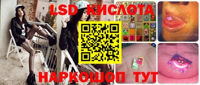 шишки Лесосибирск
