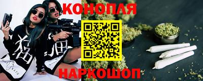 шишки Лесосибирск