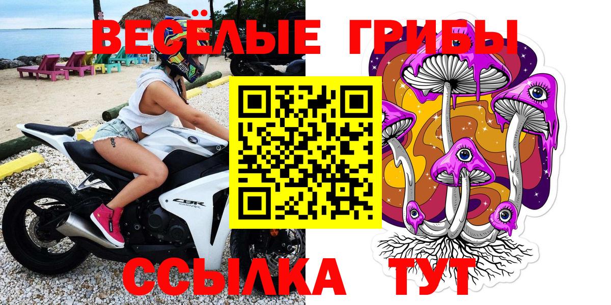 Псилоцибиновые грибы Psilocybe  Вход с VPN  Тимашёвск 