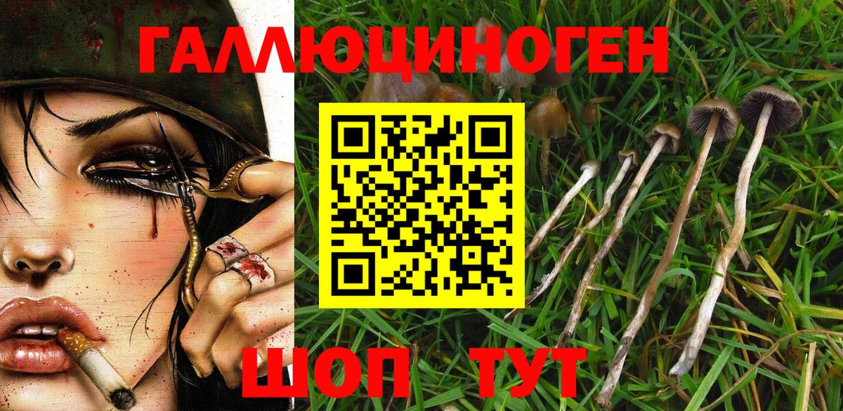 Галлюциногенные грибы мицелий Тимашёвск